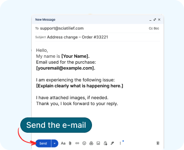 Screenshot showing send button
